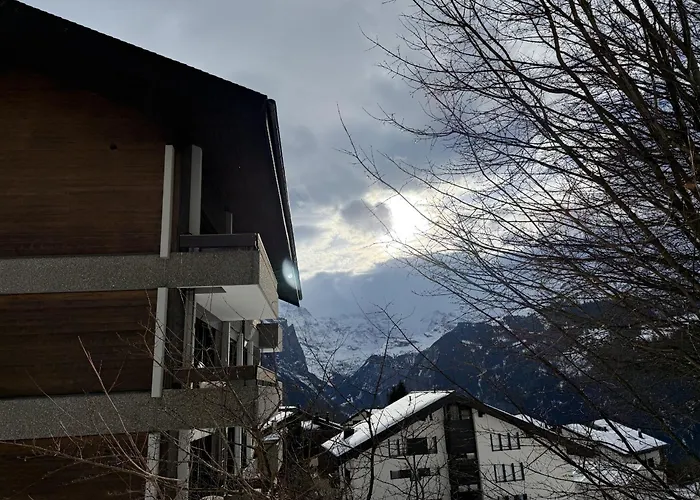 22 Appartement Wengen